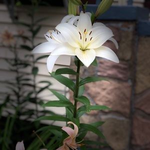 Meet your Posher, Johanna